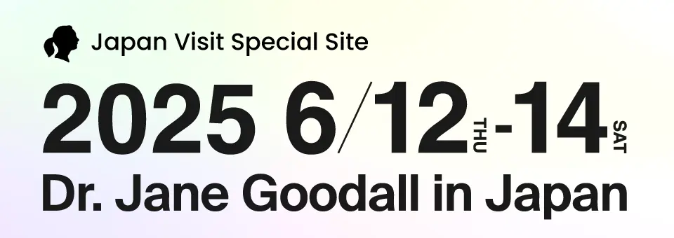 ジェーン・グドール博士来日特設サイト - JAPAN VISIT SPECIAL SITE