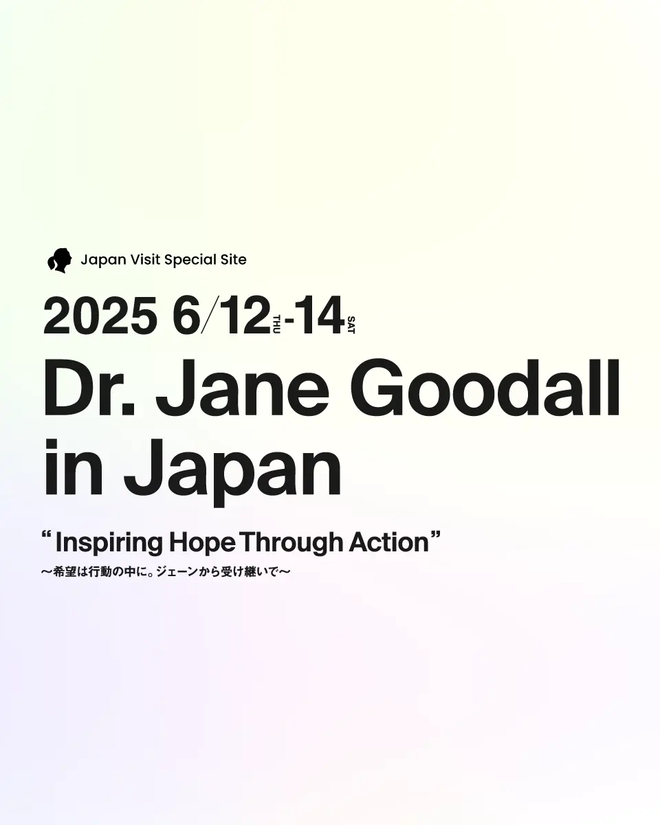 ジェーン・グドール博士来日 クラウドファンディング 支援者継続募集中！