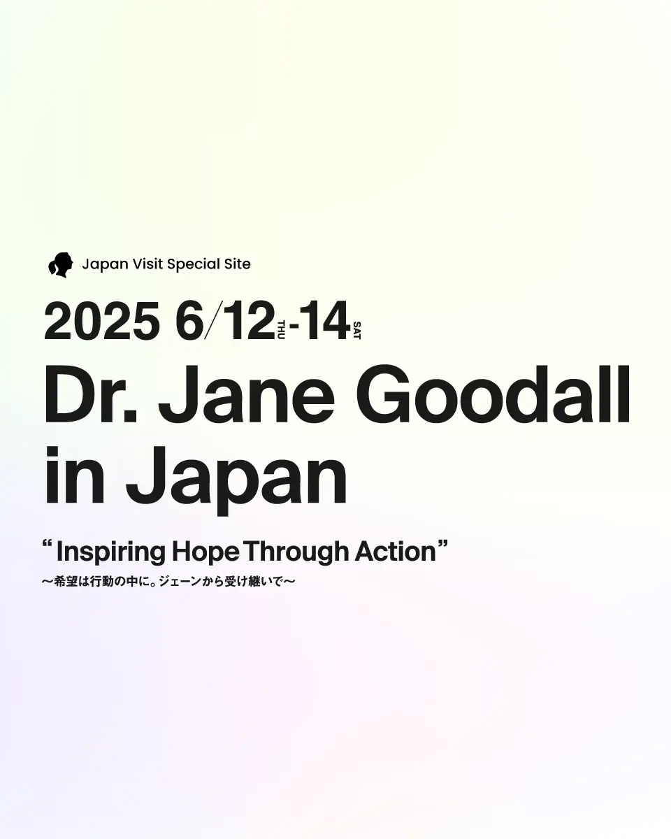 ジェーン・グドール博士来日イベントの特設ページをチェック！