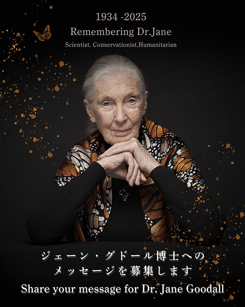 ジェーン・グドール博士へのメッセージ